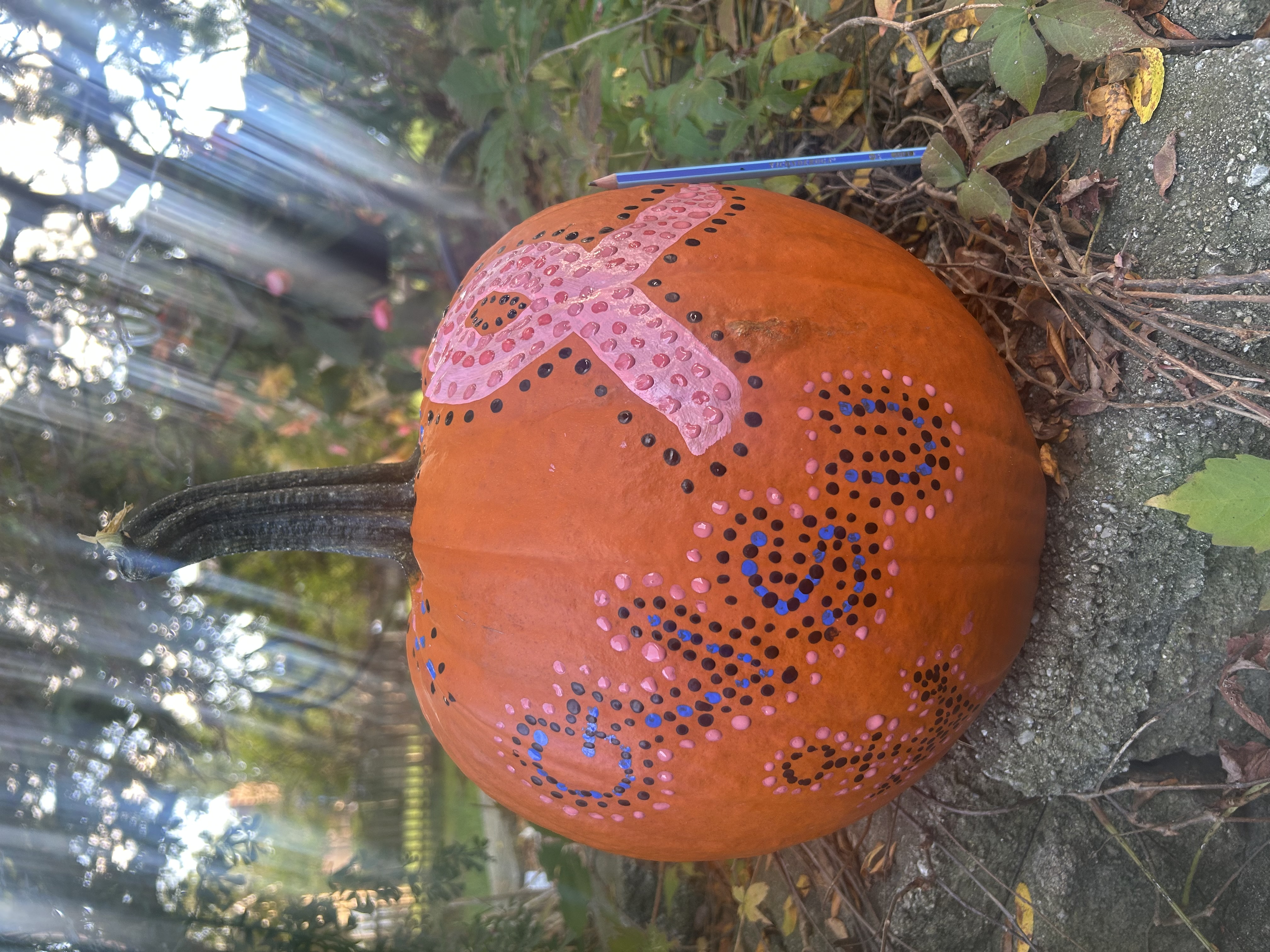 Anchor up for Breast Cancer support!